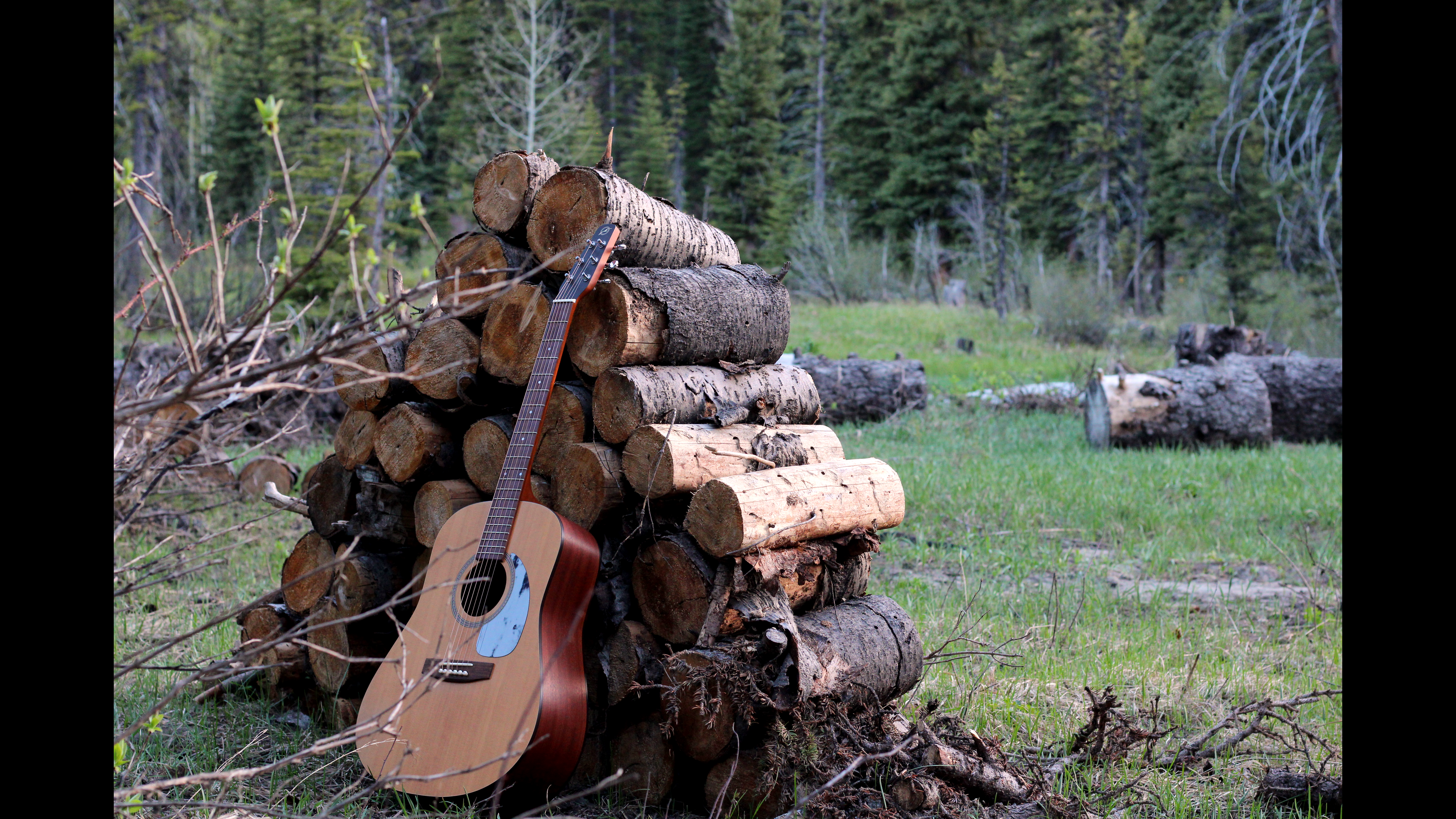 Bradford Shelton guitar by wood pile in the forest